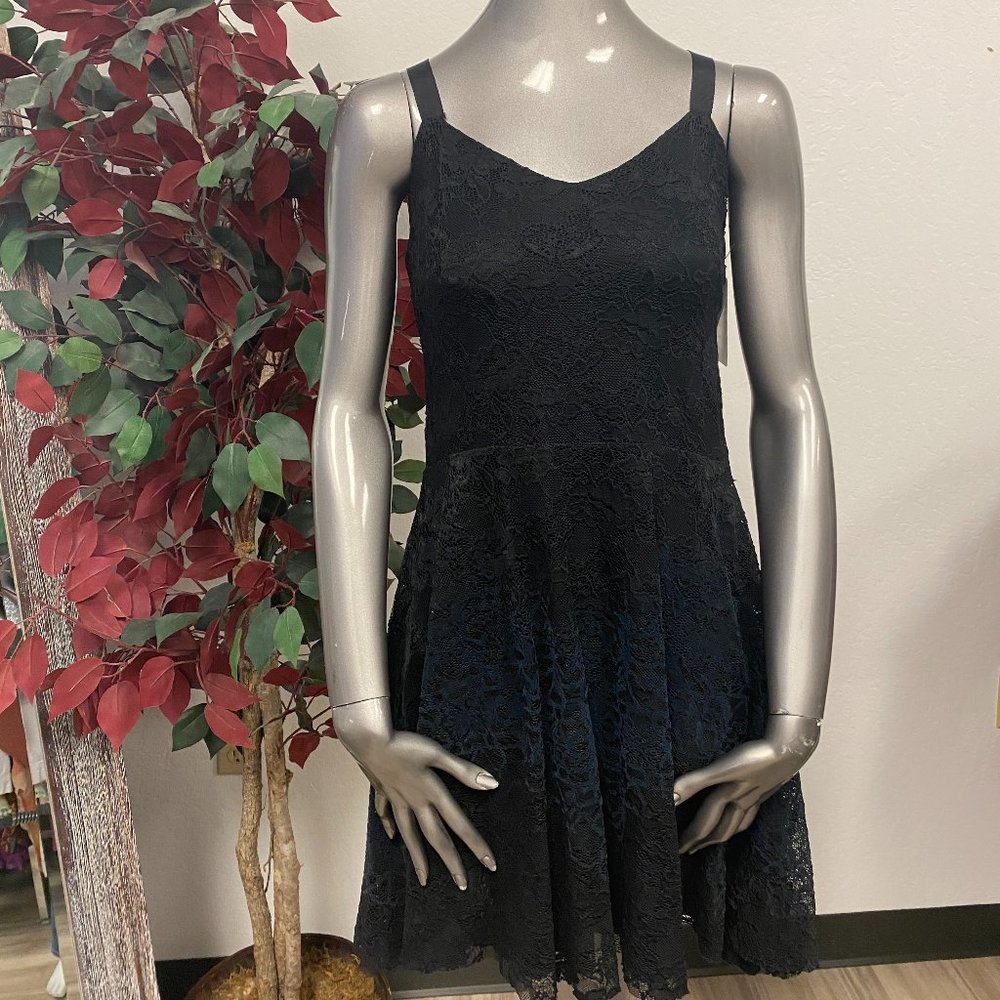 Free People Flocked Lace Dress